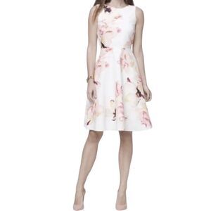 White House Black Market Floral A-Line Feminine Romantic Cocktail Office Dress 6